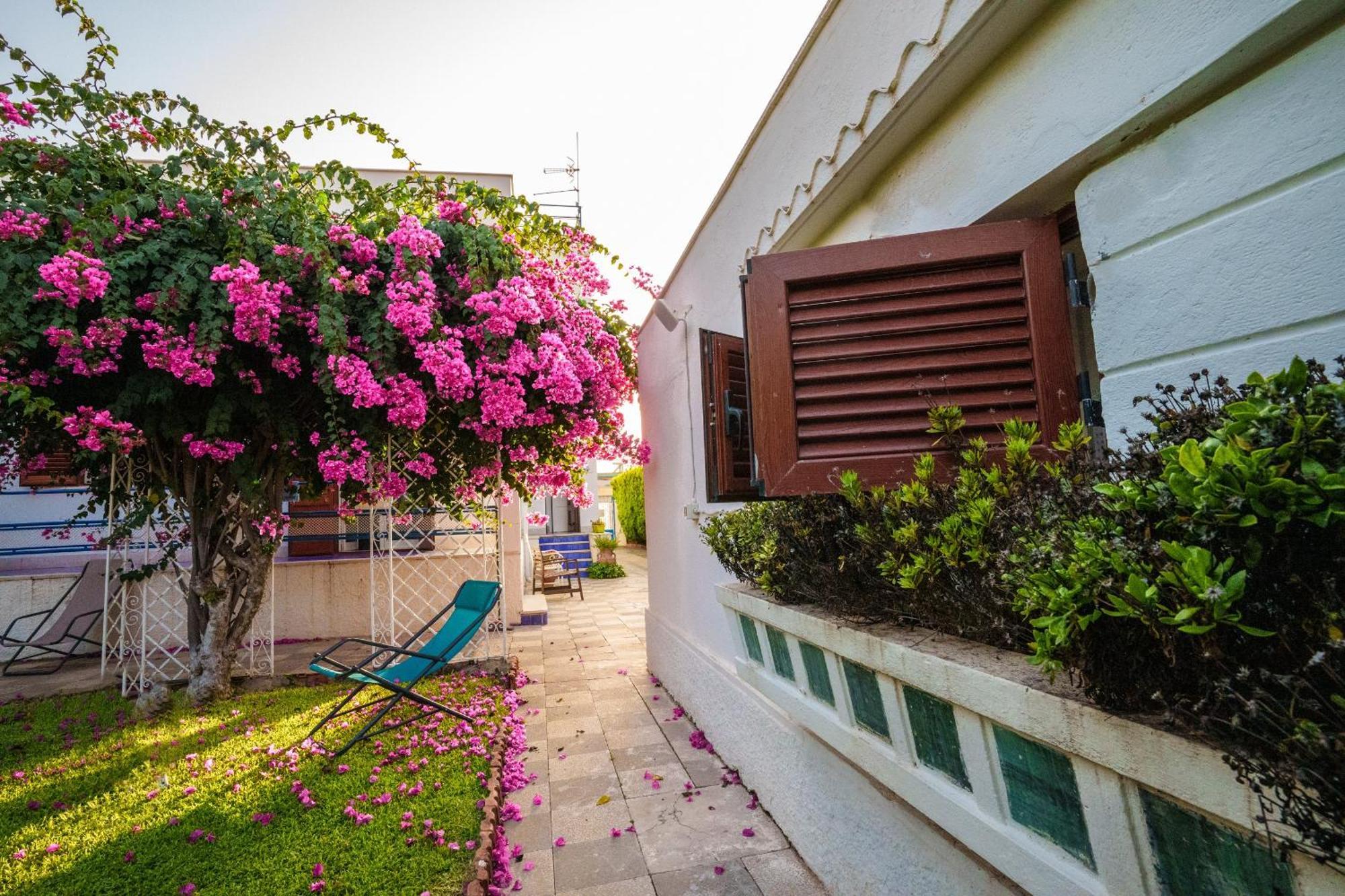 Le Vele Mondello, villa a due passi dal mare Esterno foto