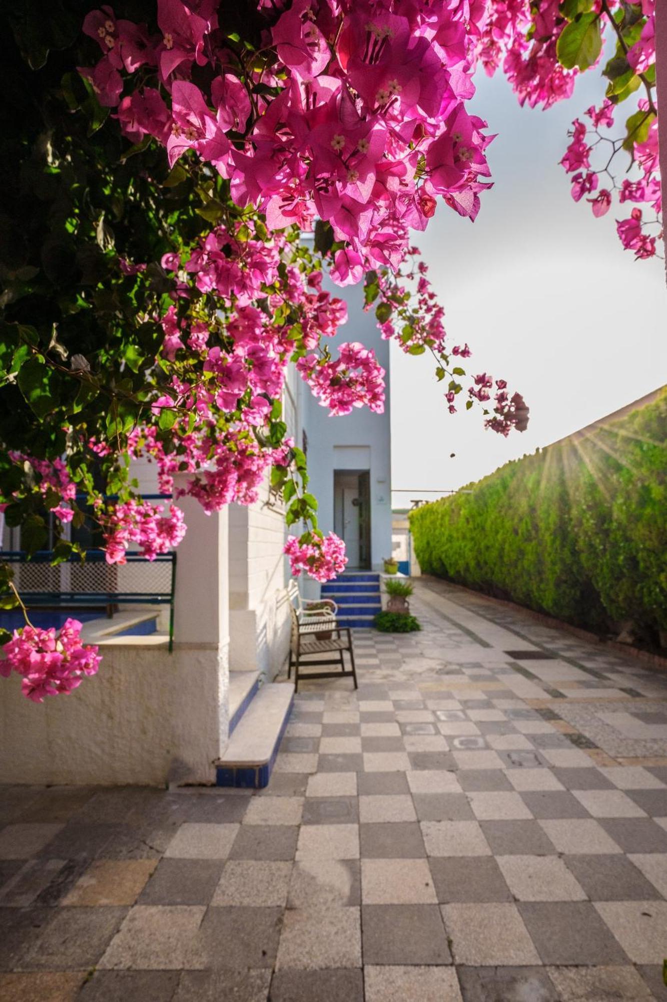 Le Vele Mondello, villa a due passi dal mare Esterno foto